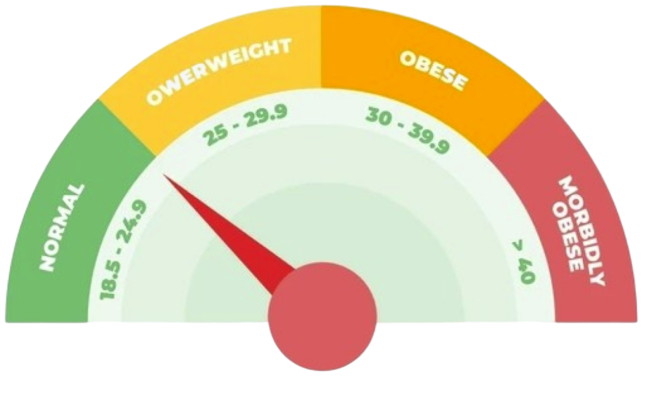 BMI Indicator